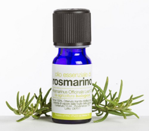 Olio Essenziale di Rosmarino - Biologico - 10 ml